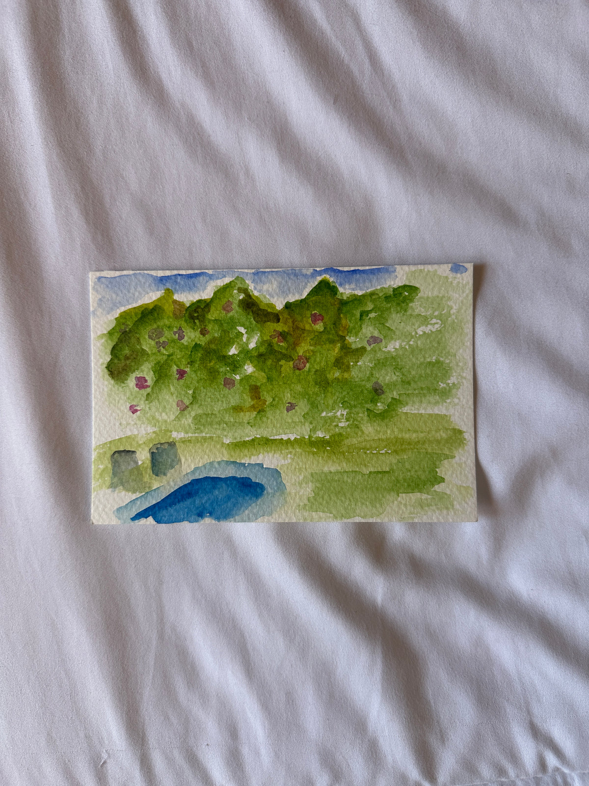 Backyard Watercolor Original