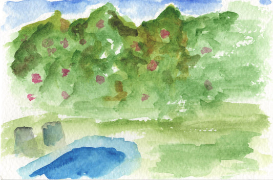 Backyard Watercolor Original