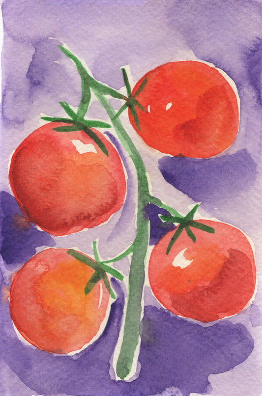Tomato Watercolor Original